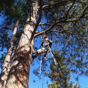 WRI Rope Rescue Training