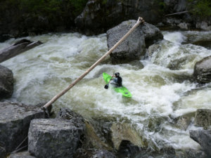 Kayaking Creek
